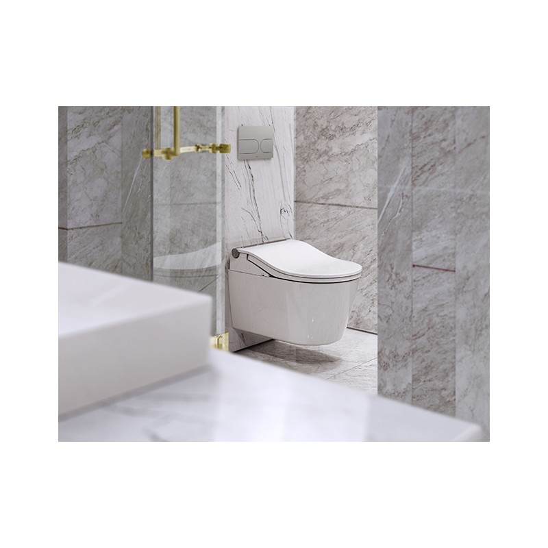 DUMALD Toilette Japonaise - Kit WC Toilette - Abattant WC Japonais - Bidet  Toilette Lava Fesse - Bidet WC Toilettes Japonaises WC Jet de Toilette -  Abattant Lavanta Japonais (FORME RONDE) : : Bricolage